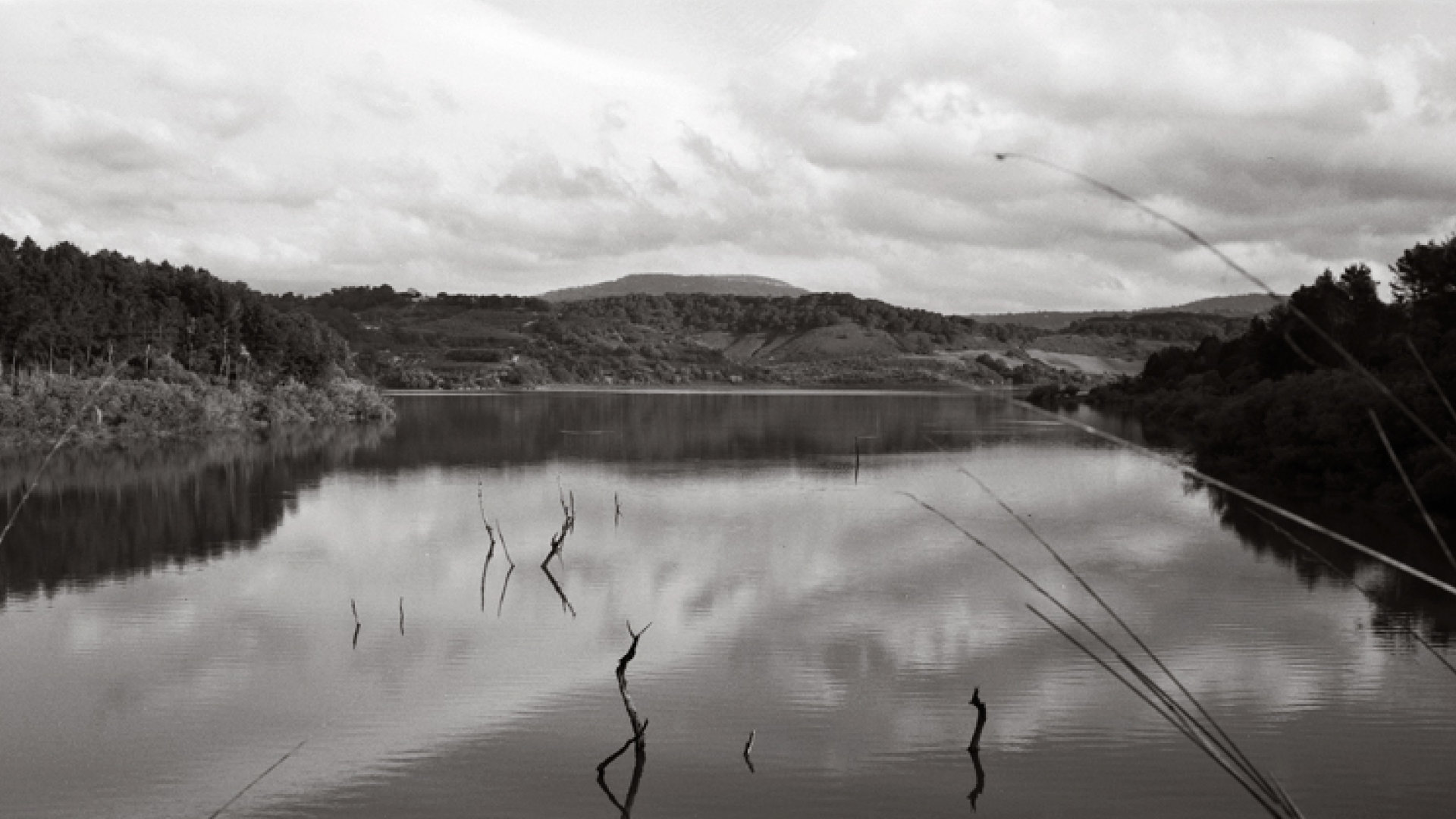 Panoramic Landscape 1